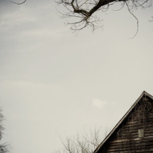 Wooden house, detail, tree, branch Wooden house, detail, tree, branch